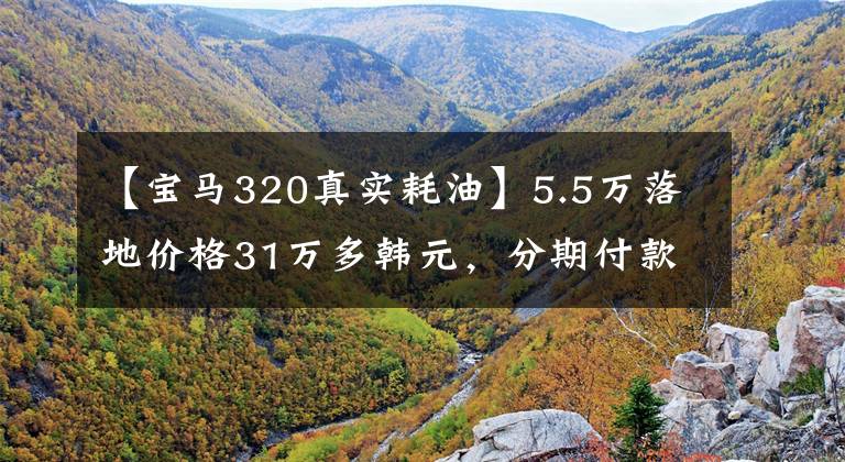 【宝马320真实耗油】5.5万落地价格31万多韩元，分期付款16.1万韩元，宝马3系指南文章配图