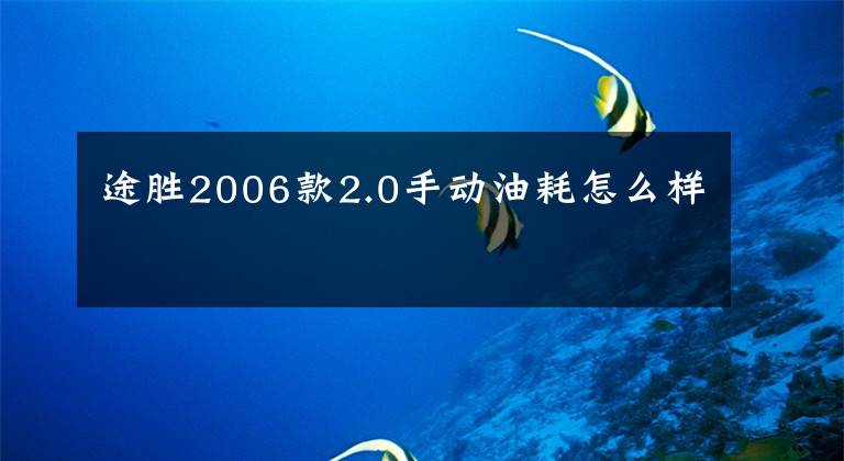 途胜2006款2.0手动油耗怎么样