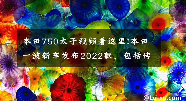 本田750太子视频看这里!本田一波新车发布2022款，包括传奇太子沙都750、迷你小猴子125