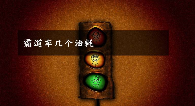霸道车几个油耗文章配图