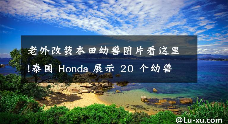 老外改装本田幼兽图片看这里!泰国 Honda 展示 20 个幼兽改装作品