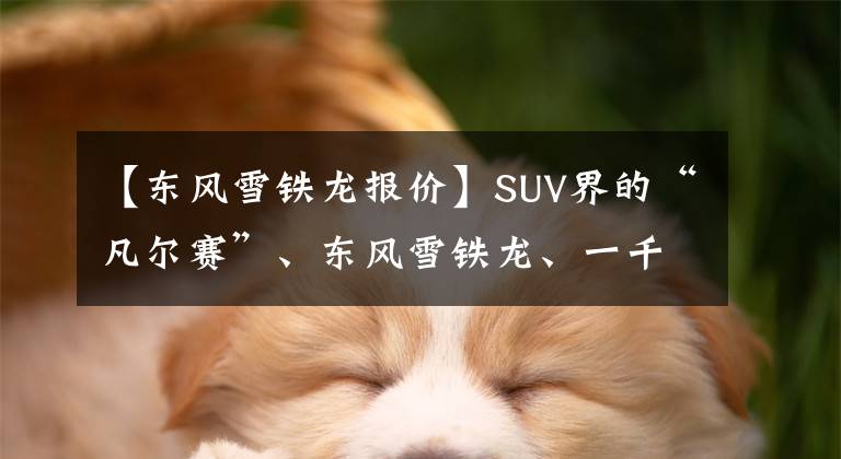 【东风雪铁龙报价】SUV界的“凡尔赛”、东风雪铁龙、一千零一比ond上市，起步价为15.27万韩元。文章配图