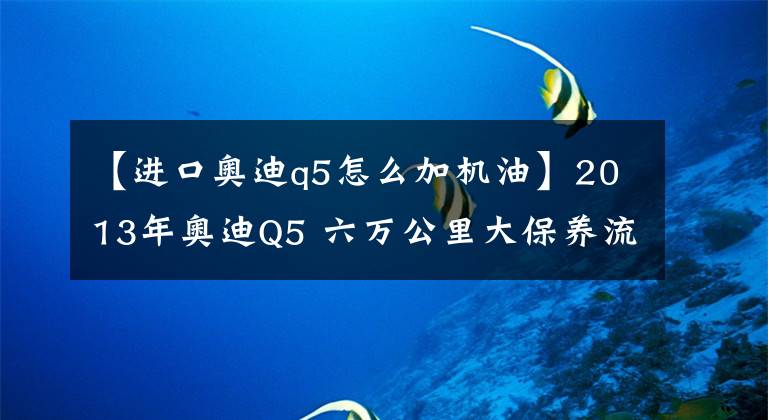 【进口奥迪q5怎么加机油】2013年奥迪Q5 六万公里大保养流程及明细