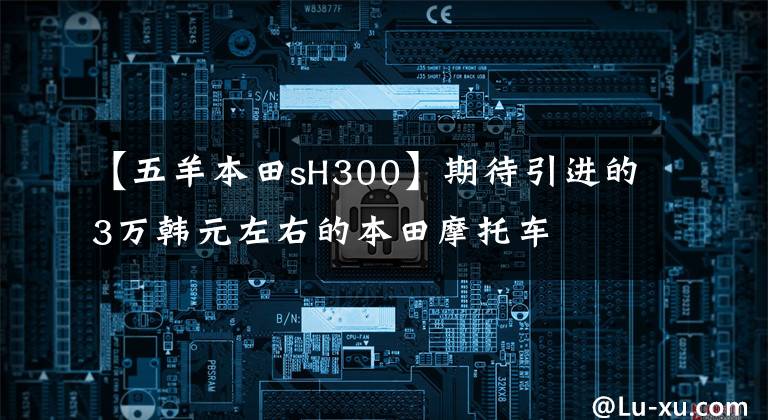 【五羊本田sH300】期待引进的3万韩元左右的本田摩托车