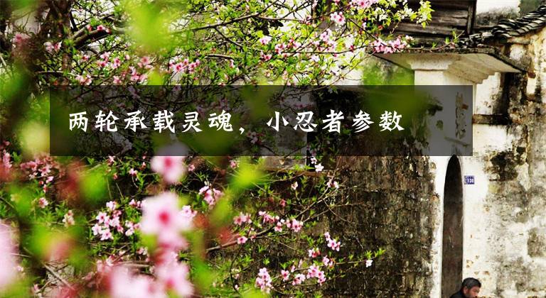 两轮承载灵魂，小忍者参数文章配图