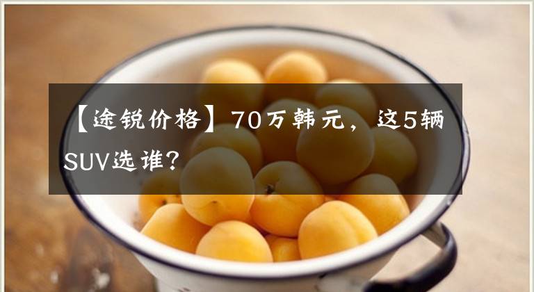 【途锐价格】70万韩元，这5辆SUV选谁？文章配图