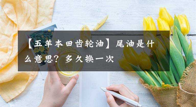 【五羊本田齿轮油】尾油是什么意思？多久换一次