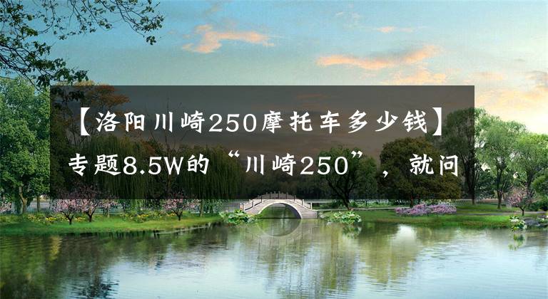 【洛阳川崎250摩托车多少钱】专题8.5W的“川崎250”，就问你们见过吗