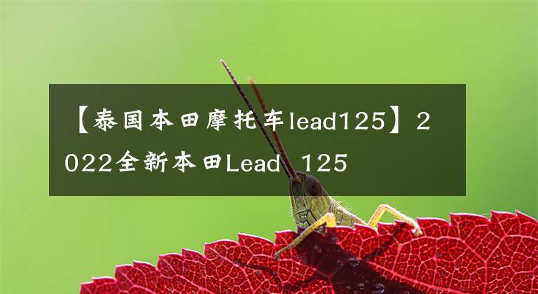 【泰国本田摩托车lead125】2022全新本田Lead  125