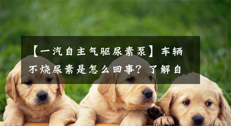 【一汽自主气驱尿素泵】车辆不烧尿素是怎么回事？了解自主气体驱动系统。文章配图