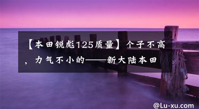 【本田锐彪125质量】个子不高，力气不小的——新大陆本田CBF125T小太子新来了