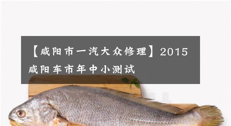 【咸阳市一汽大众修理】2015咸阳车市年中小测试文章配图