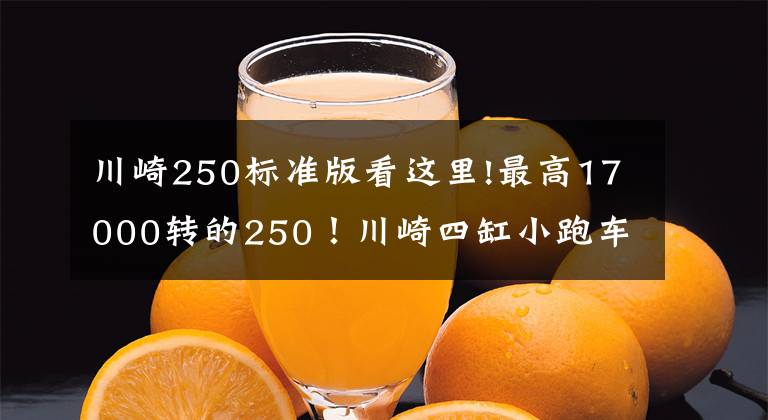 川崎250标准版看这里!最高17000转的250！川崎四缸小跑车Ninja ZX-25R配置公布