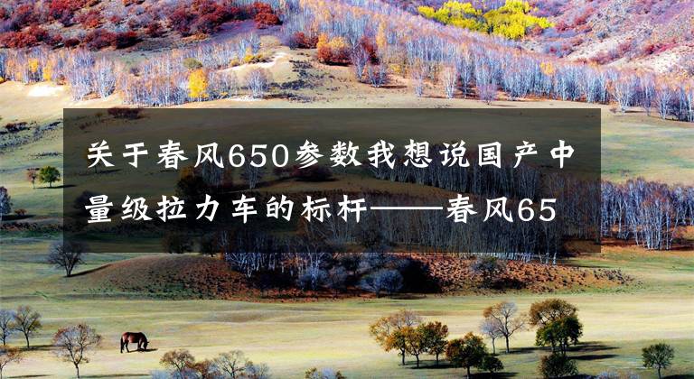 关于春风650参数我想说国产中量级拉力车的标杆——春风650MT实测