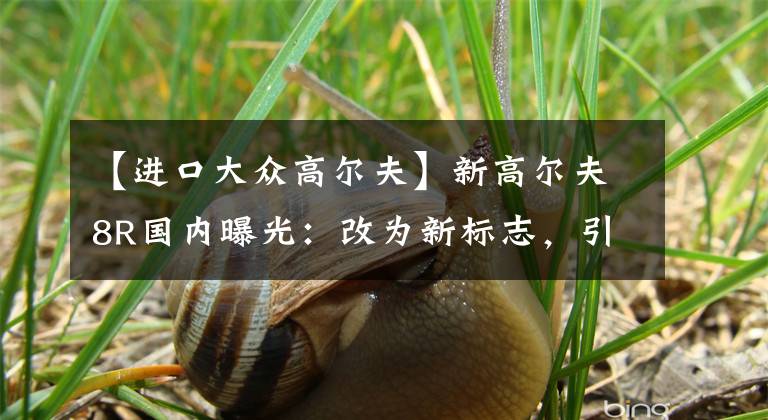 【进口大众高尔夫】新高尔夫8R国内曝光：改为新标志，引进2.0T 4驱动器或进口方式文章配图