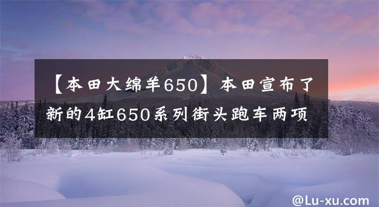 【本田大绵羊650】本田宣布了新的4缸650系列街头跑车两项小改造款，全面减震更新。