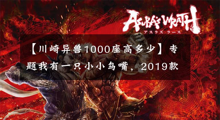 【川崎异兽1000座高多少】专题我有一只小小鸟嘴，2019款川崎Versys1000国内售价15.9万元