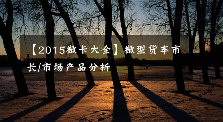 【2015微卡大全】微型货车市长/市场产品分析文章配图