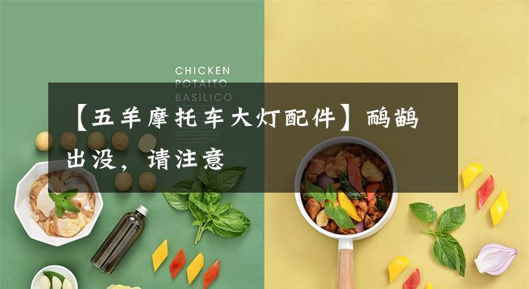 【五羊摩托车大灯配件】鸸鹋出没，请注意文章配图