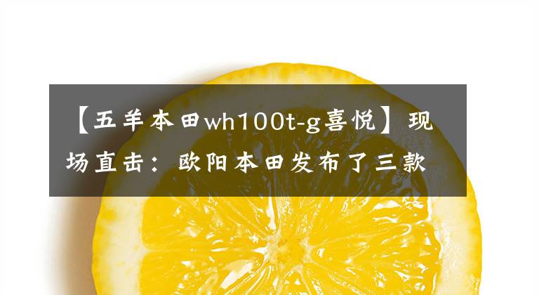 【五羊本田wh100t-g喜悦】现场直击：欧阳本田发布了三款时尚摩托车和配置！