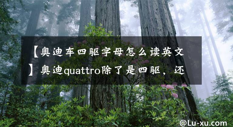 【奥迪车四驱字母怎么读英文】奥迪quattro除了是四驱，还有两种含义，老司机不一定知道