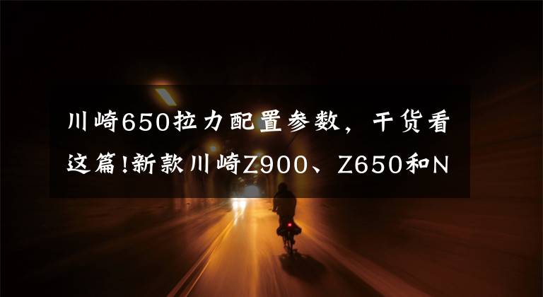 川崎650拉力配置参数，干货看这篇!新款川崎Z900、Z650和Ninja 650国内正式发布