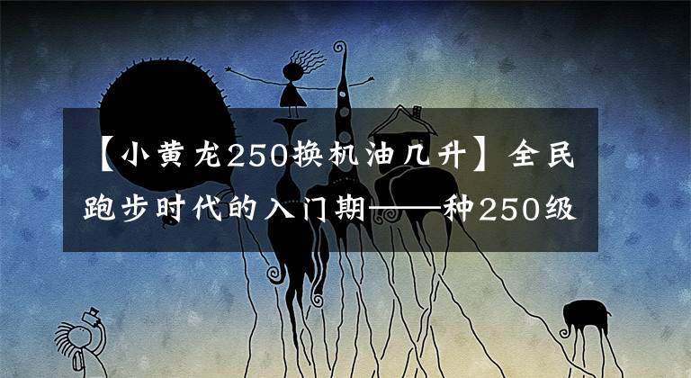 【小黄龙250换机油几升】全民跑步时代的入门期——种250级合资距离车。文章配图
