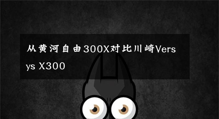 从黄河自由300X对比川崎Versys X300文章配图