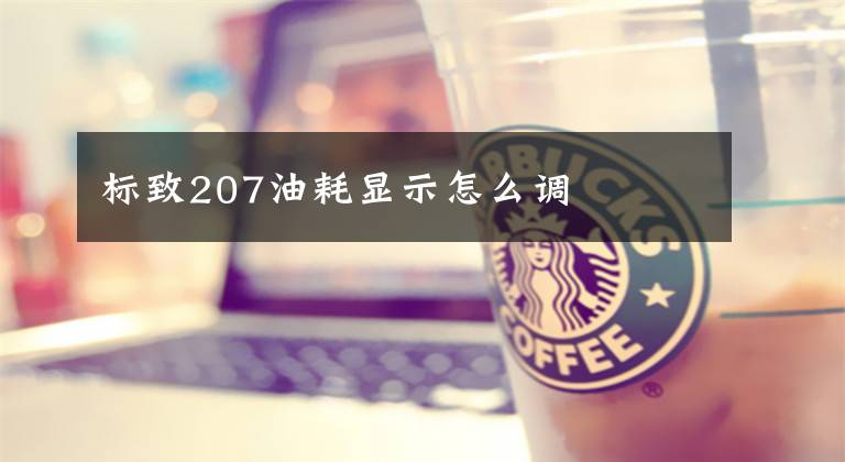 标致207油耗显示怎么调文章配图