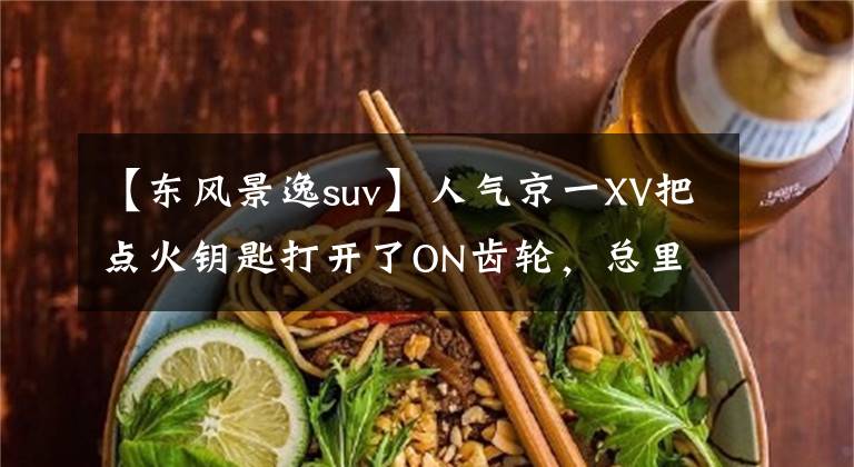 【东风景逸suv】人气京一XV把点火钥匙打开了ON齿轮，总里程上闪烁着“ERROR”。文章配图