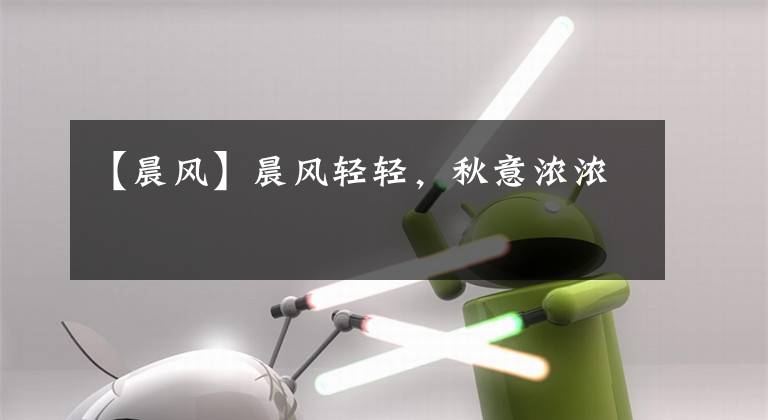 【晨风】晨风轻轻，秋意浓浓文章配图