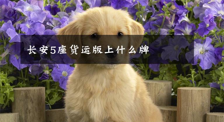 长安5座货运版上什么牌文章配图