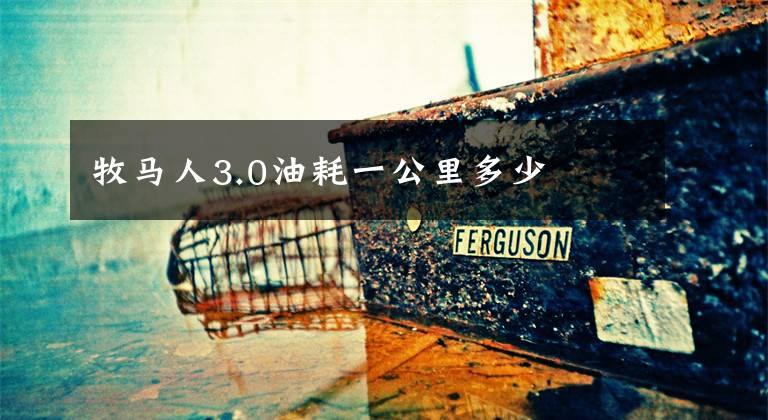 牧马人3.0油耗一公里多少文章配图