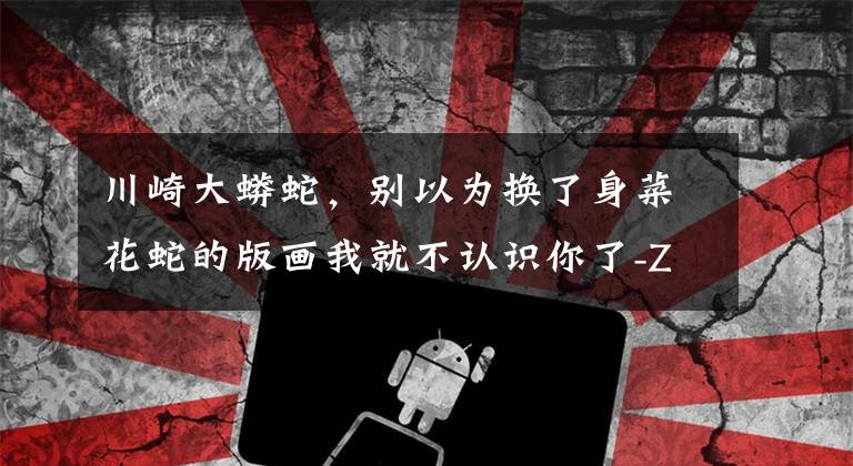 川崎大蟒蛇，别以为换了身菜花蛇的版画我就不认识你了-Z1000文章配图