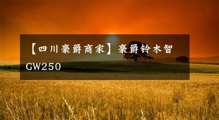 【四川豪爵商家】豪爵铃木智GW250文章配图