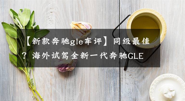 【新款奔驰gle车评】同级最佳？海外试驾全新一代奔驰GLE文章配图