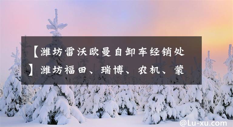 【潍坊雷沃欧曼自卸车经销处】潍坊福田、瑞博、农机、蒙古国出口。