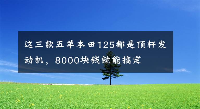 这三款五羊本田125都是顶杆发动机，8000块钱就能搞定文章配图