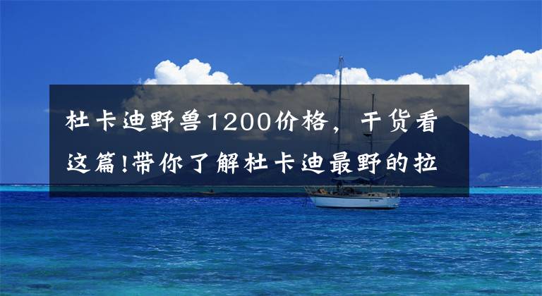 杜卡迪野兽1200价格，干货看这篇!带你了解杜卡迪最野的拉力车——MTS1200 Enduro