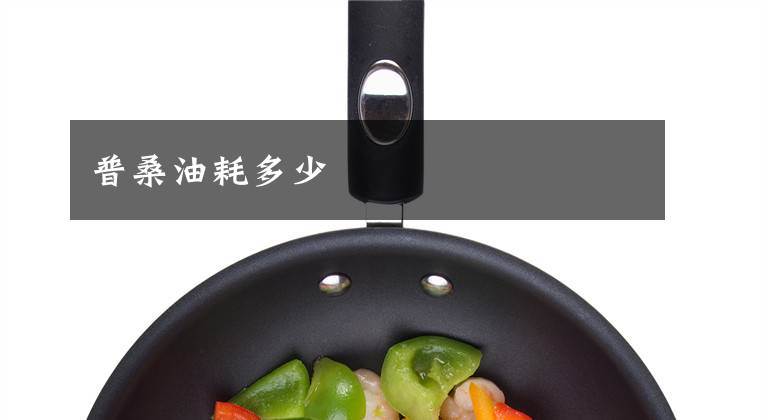 普桑油耗多少文章配图