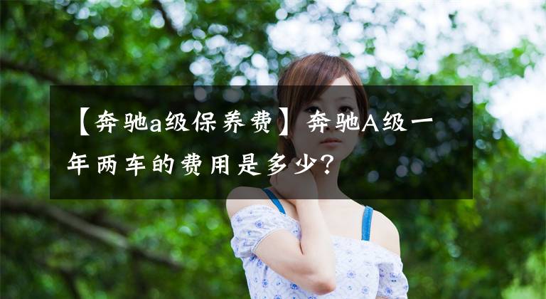 【奔驰a级保养费】奔驰A级一年两车的费用是多少？文章配图