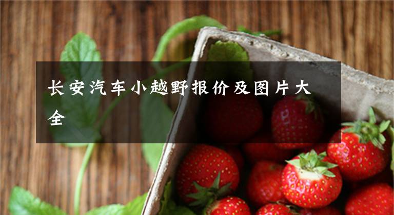长安汽车小越野报价及图片大全文章配图