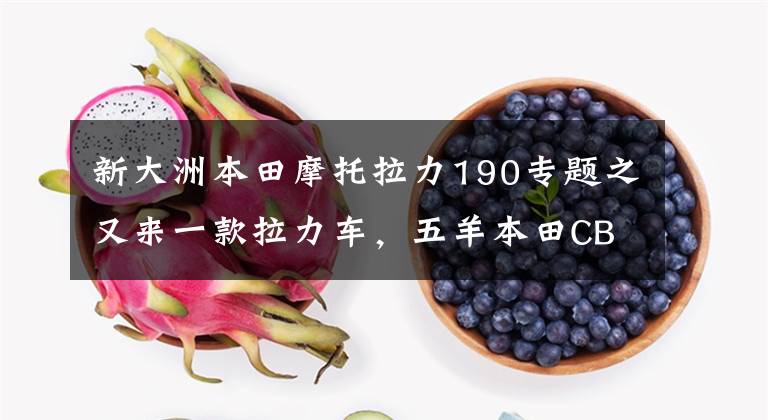 新大洲本田摩托拉力190专题之又来一款拉力车，五羊本田CB190X“鸷”正式发布