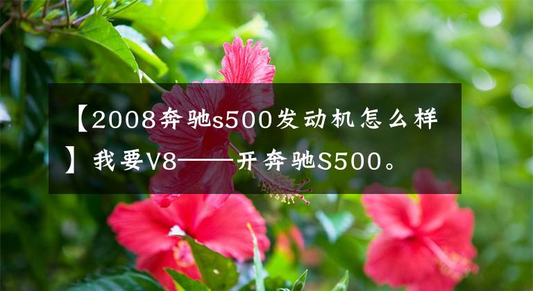 【2008奔驰s500发动机怎么样】我要V8——开奔驰S500。