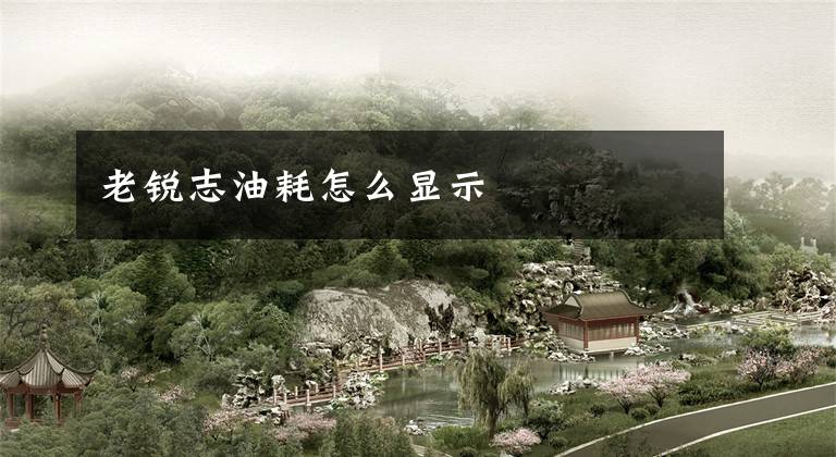 老锐志油耗怎么显示文章配图