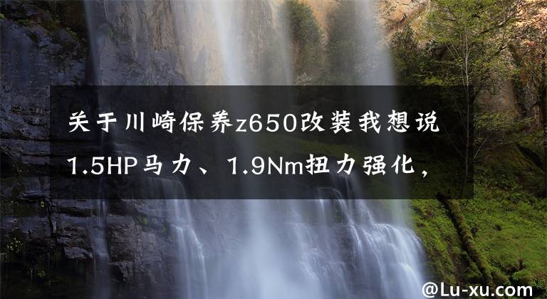 关于川崎保养z650改装我想说1.5HP马力、1.9Nm扭力强化，天蝎推出川崎Z650RS专用排气管