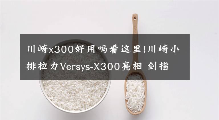 川崎x300好用吗看这里!川崎小排拉力Versys-X300亮相 剑指宝马G310GS