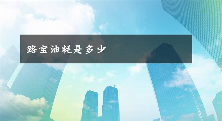 路宝油耗是多少文章配图