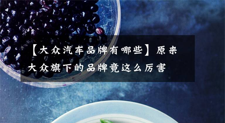 【大众汽车品牌有哪些】原来大众旗下的品牌竟这么厉害文章配图