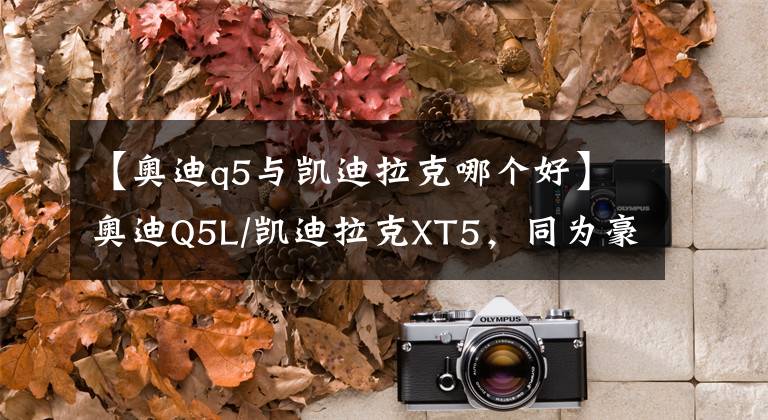 【奥迪q5与凯迪拉克哪个好】奥迪Q5L/凯迪拉克XT5，同为豪华SUV，谁更全能？